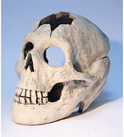 Грот "Череп" ГП1