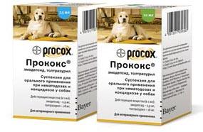 Bayer Прококс суспензия