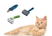 Домашний груминг