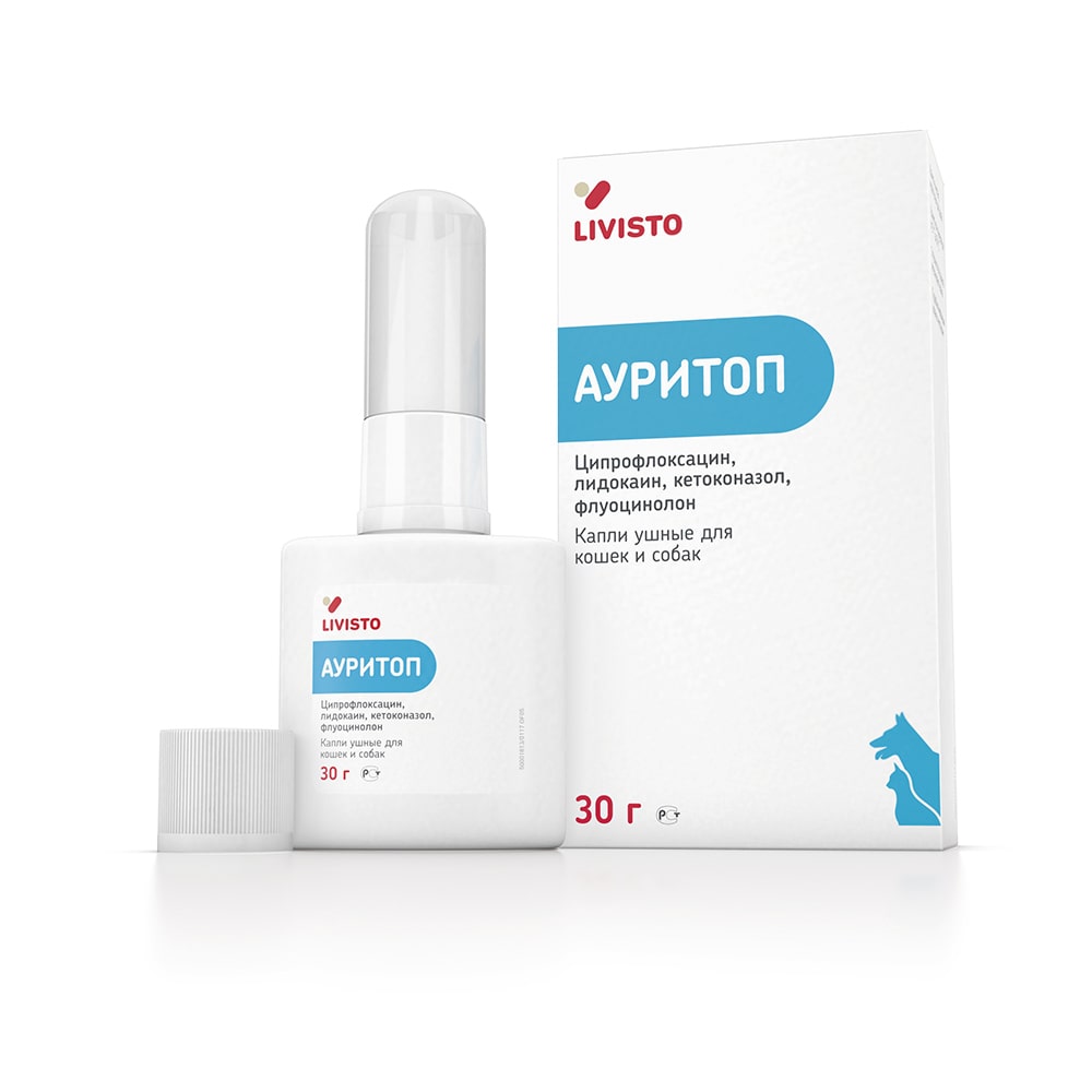 Livisto Ауритоп