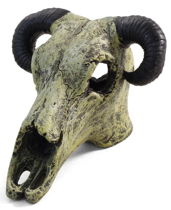 Laguna Грот 1119KY "Череп барана"