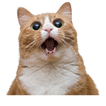 Гормоны и ферменты