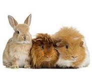 Живые обитатели