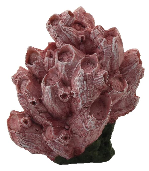 Laguna Коралл искусственный 333KA "Балянус"