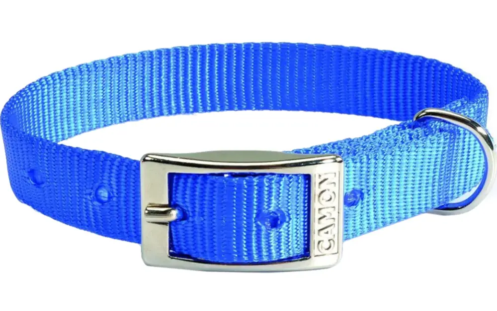 CAMON Ошейник нейлоновый с металлической пряжкой, синий