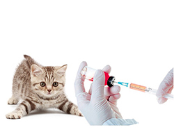 Вакцины и сыворотки