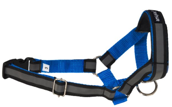 Недоуздок AmiPlay Shine N5 Rotweiller (Синий)