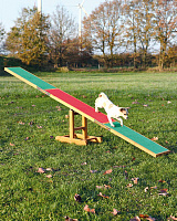 Trixie Agility Seesaw