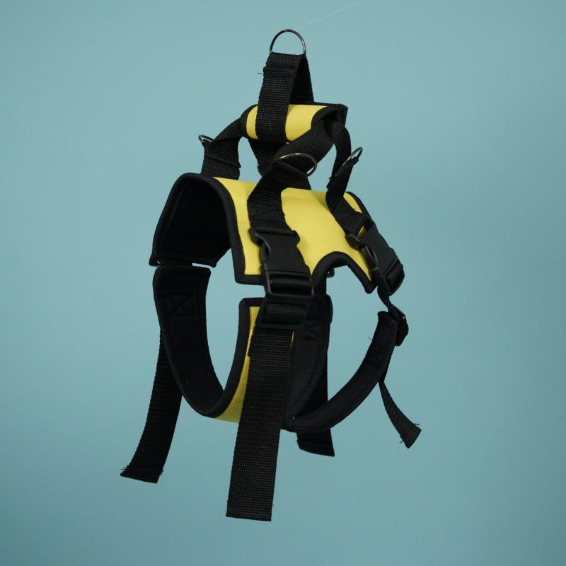 VEDA Задняя поддержка для собак