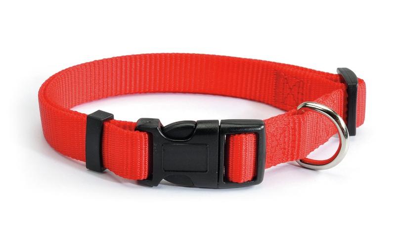 CAMON Ошейник с пластиковой пряжкой, красный