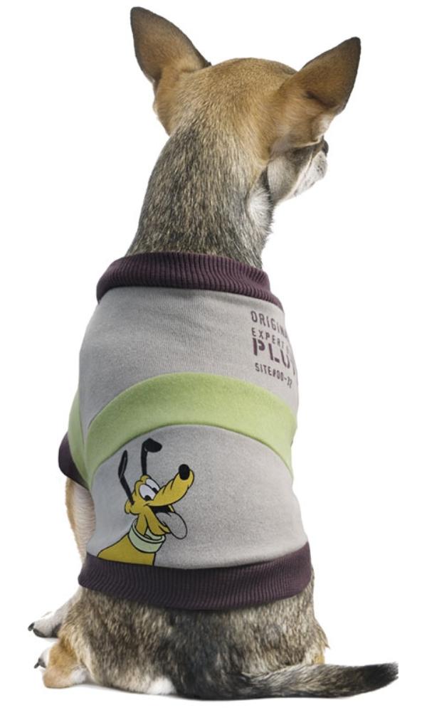 Толстовка "Pluto College"