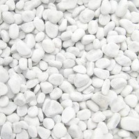 Zoologia Галька мраморная Bianco Carrara фр. 40-60 мм, белый