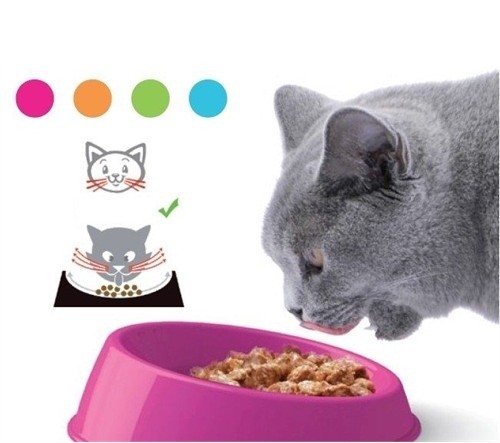 Георпласт Миска наклонная Vibrissa