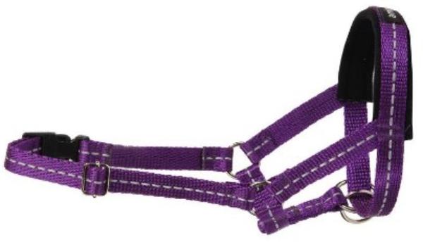 Недоуздок AmiPlay Reflective (Фиолетовый)