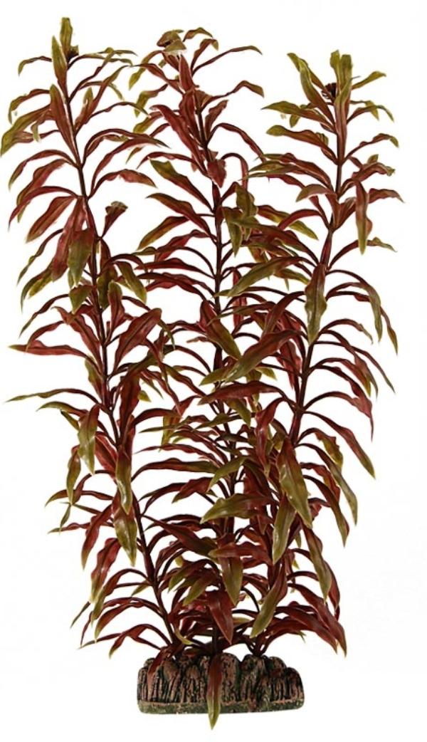 Laguna Растение 30008 "Альтернатера" коричневая, блистер