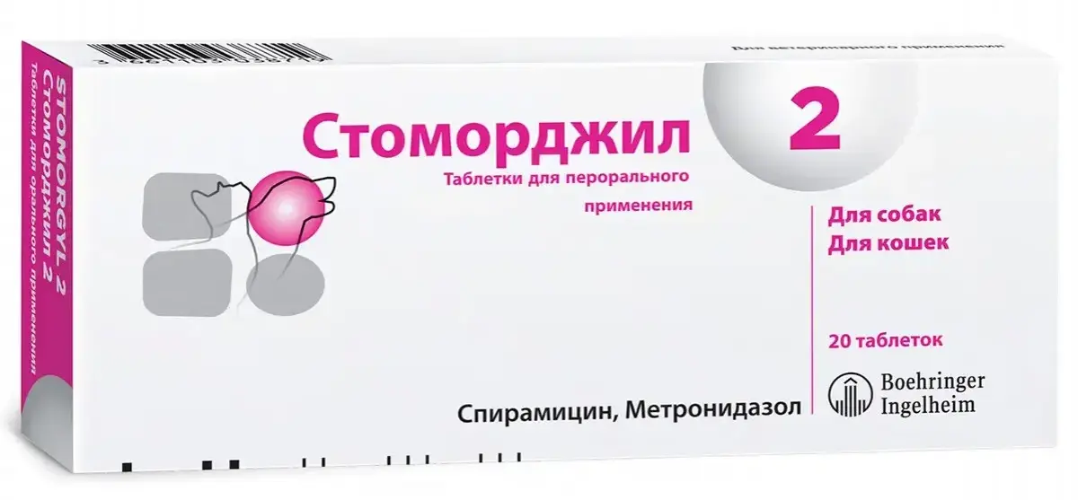 Стоморджил 2