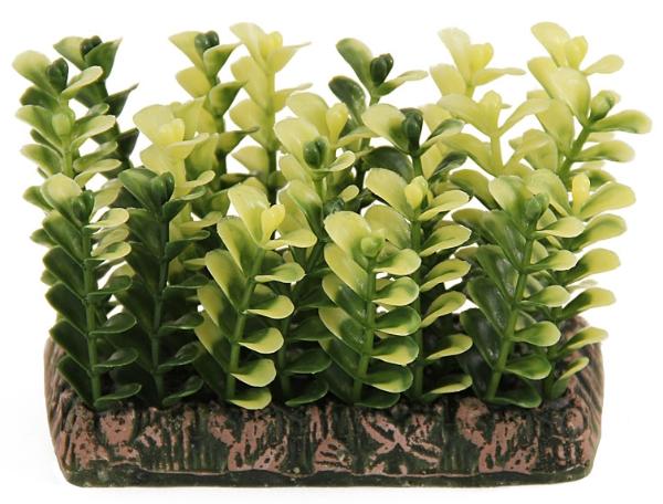 Laguna Растение 0646 "Куст" желто-зеленый, 9х4х10 см