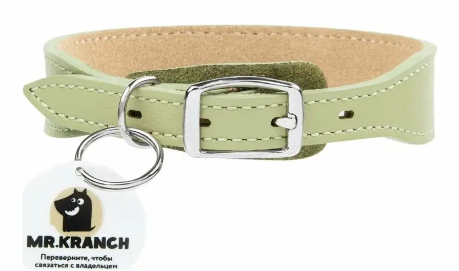 Mr.Kranch Ошейник кожаный с QR-адресником, нежно-зеленый