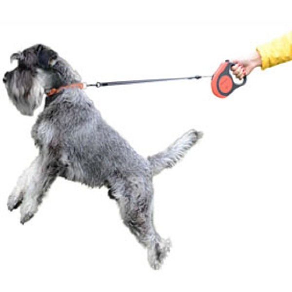 Поводки, рулетки, перестёжки