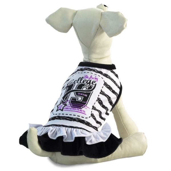 TR101 Платье "Колледж"