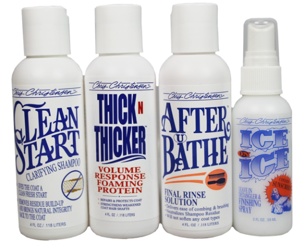 CCS Clean Start System Kit