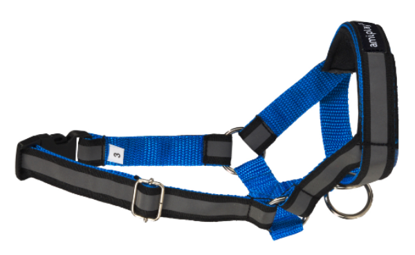 Недоуздок AmiPlay Shine N6 Deutsche Dogger (Синий)