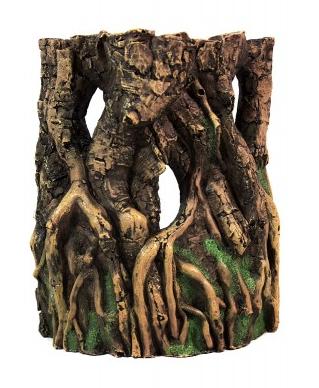 Deksi Грот Коряга №795