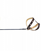 Collar Шлея с поводком капрон Зеленая