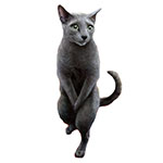 Урология и нефрология