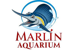 Marlin Aquarium