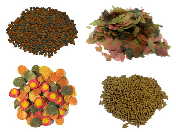 Корма, кормушки