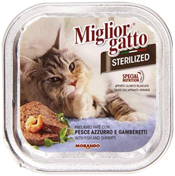 Miglior Gatto Steril Fish and Shrimps