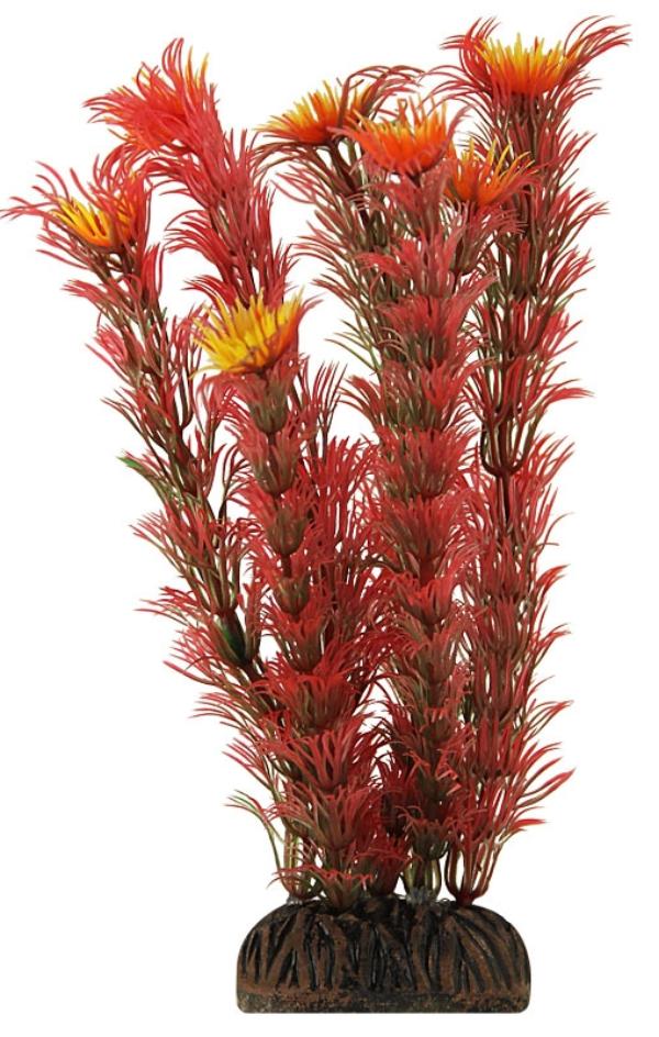 Laguna Растение "Амбулия" красная