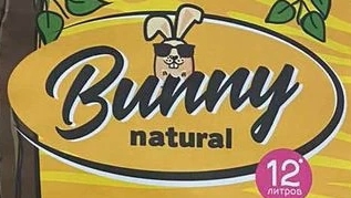 Bunny