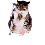 Предметы ухода за больными животными