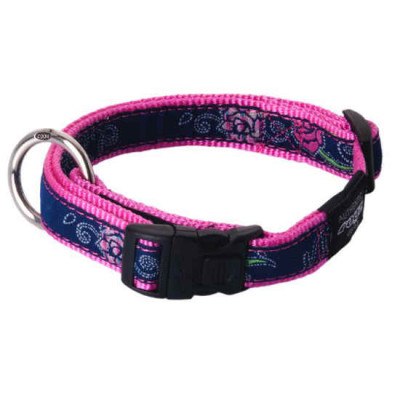 Ошейник Rogz "Fancy dress" (Dayglo Floral)