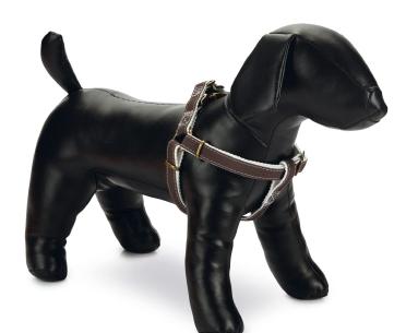 Beeztees Шлейка Virante, коричневая