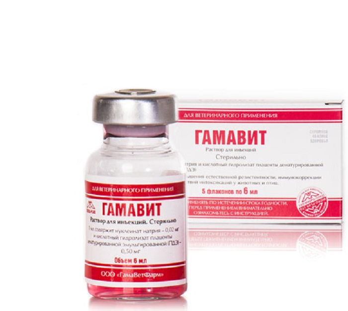 Micro-Plus Гамавит