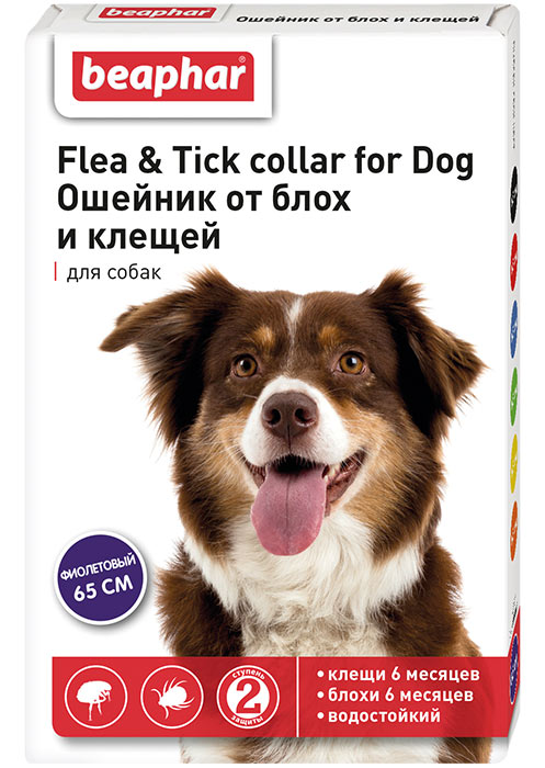 Ошейник от блох и клещей для собак (фиолетовый)