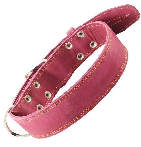 Ошейник "Гамма" кожаный двойной с выносным кольцом