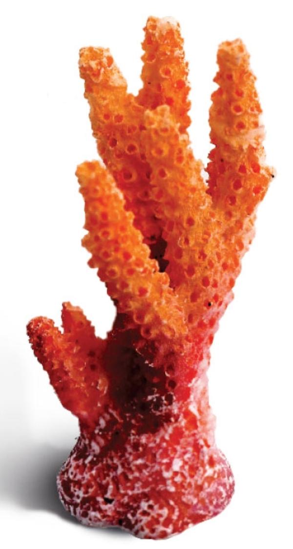 Laguna Коралл искусственный 2912LD "Синулярия мини"