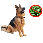 Антибактериальные средства