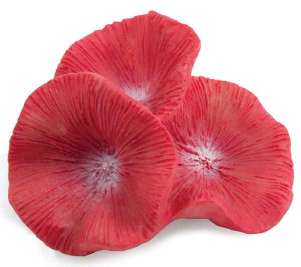 Laguna Коралл искусственный 2916LD "Бластомусса мини"