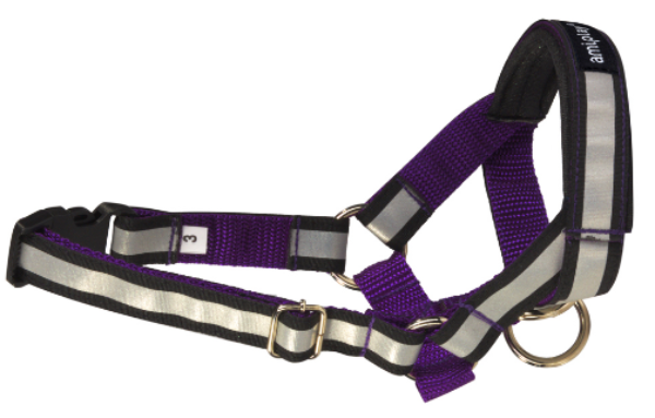 Недоуздок AmiPlay Shine N5 Rotweiller (Фиолетовый)