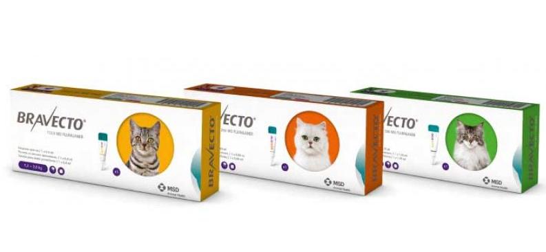 Бравекто Спот Он капли для кошек