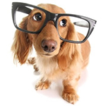 Офтальмология