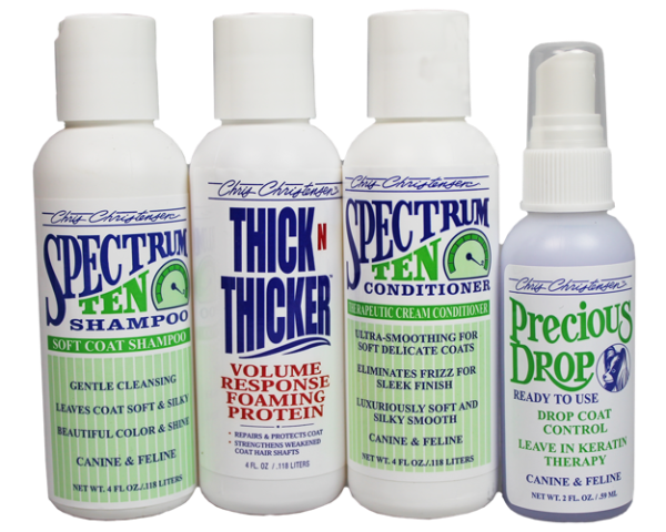 CCS Spectrum Ten System Kit