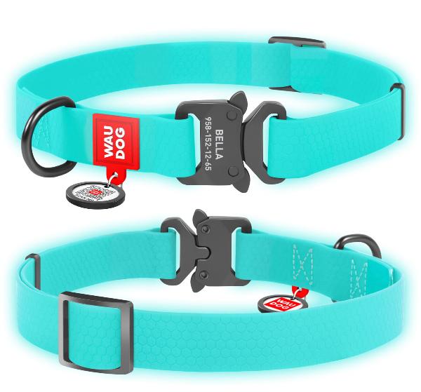 Collar Ошейник "Waudog Waterproof", ментоловый