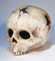 Грот "Череп" Г1