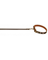 Collar Ошейник с поводком капрон Brown